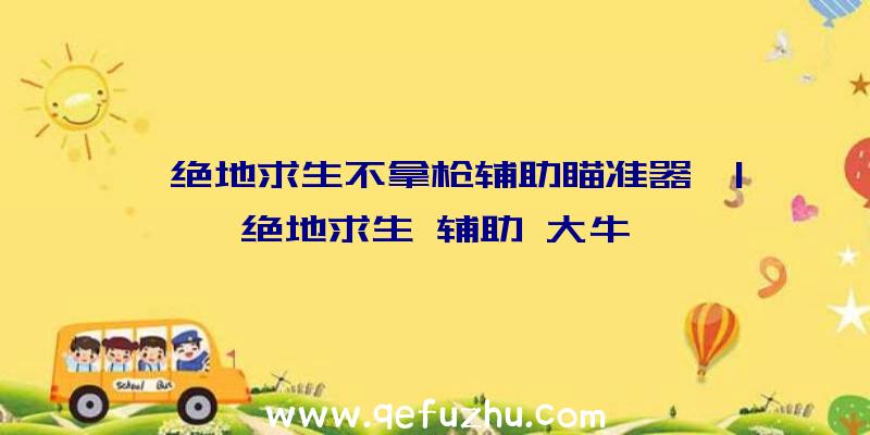 「绝地求生不拿枪辅助瞄准器」|绝地求生